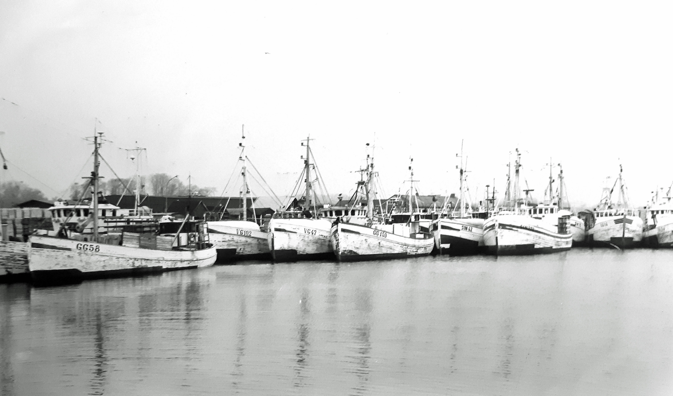 Fiskenäringen